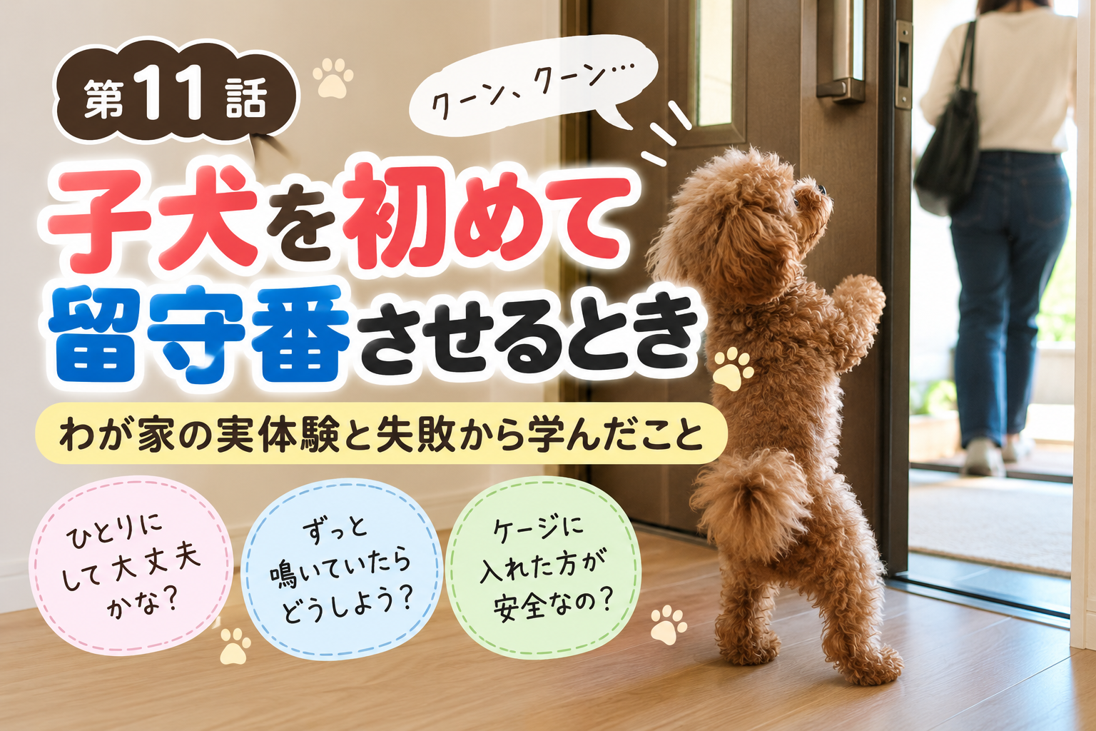 留守番が苦手な子犬トイプードル｜生後6ヶ月の愛犬に試した留守番対策